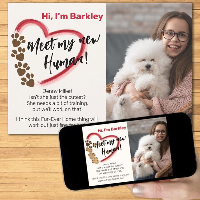 Anúncio Nova Adoção de Animal de Estimação (Criador carregado)