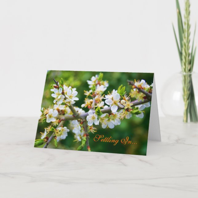 Anúncio Nova Casa - Primavera Hawthorn Com Dapos Sun (Frente)