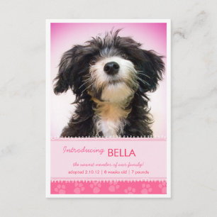 Anúncio Novas impressões de pata cor-de-rosa para lançamen