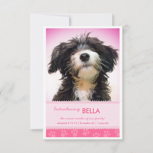 Anúncio Novas impressões de pata cor-de-rosa para lançamen (Frente)