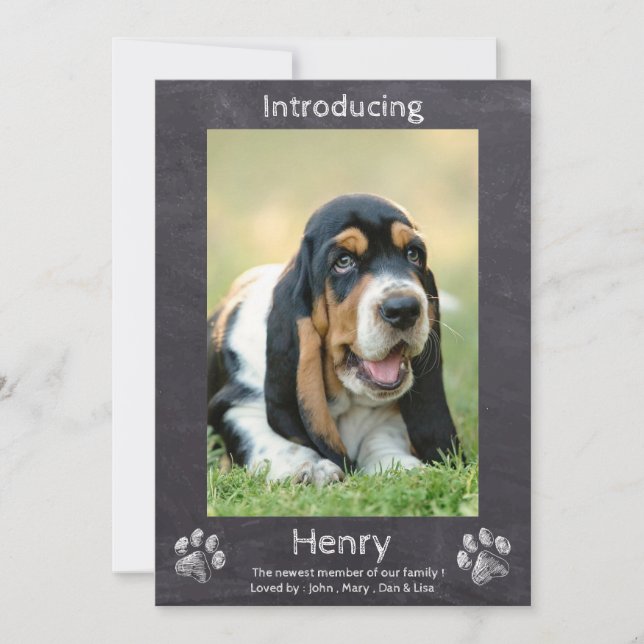 Anúncio Novo Cãozinho - Introdução ao Cãozinho-Cãozinho Cã (Frente)