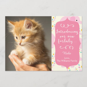 Anúncio novo cor-de-rosa de Furbaby