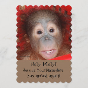 Anúncio Novo Endereço Engraçado Animal Baby
