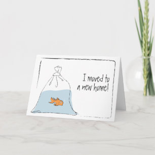 Anúncio Novo lançamento