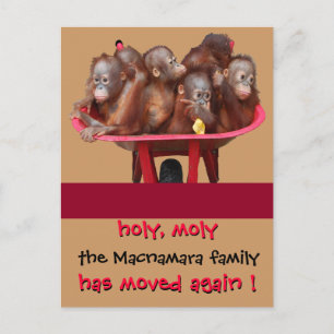 Anúncio novo movente do endereço do divertimento