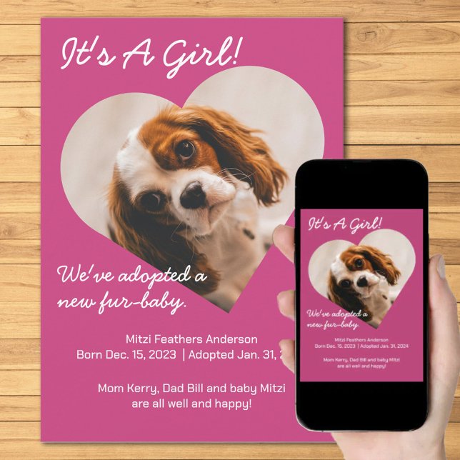 Anúncio Novo Puppy Bonito (Criador carregado)