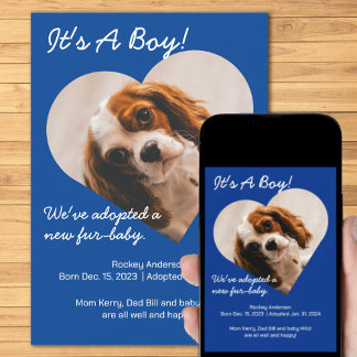 Anúncio Novo Puppy Bonito