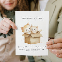 Novos endereços de gatos-cuta na caixa de papelão