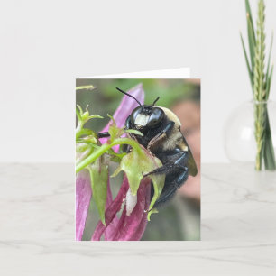 Anúncio Ocupado como uma Abelha