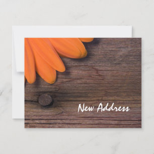 Anúncio Orange Daisy and Rustic Barn Wood New Address Card