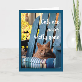 Anúncio Orange Tabby Cat na Simpatia da Cadeira Azul
