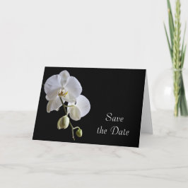 Anúncio Orquídea Branca no Casamento Negro Salve a Data