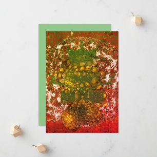 Anúncio Padrões Fractais