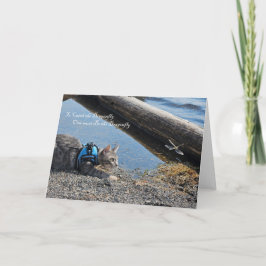 Anúncio Para pegar a libélula, notecard