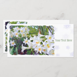 Anúncio Páscoa [Placa guia plana] 案 内 状