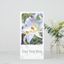 Anúncio Páscoa [Placa guia plana] 案 内 状