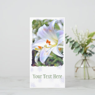 Anúncio Páscoa [Placa guia plana] 案 内 状