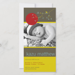 Anúncio Pássaro aninho simples e bebê da família