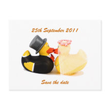 Patos de casamento ... Cartão postal