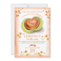 Pequena gravidez a cores do coração da castanha