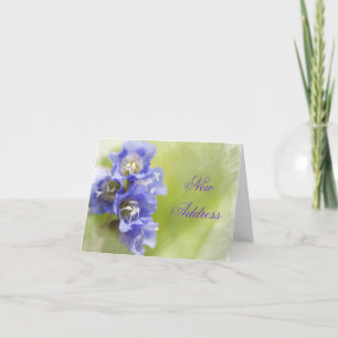 Anúncio Pequenas flores roxas mudam de endereço