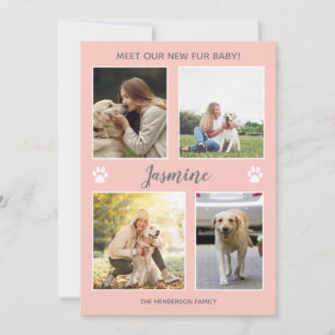Anúncio Pet Anunciando Nova Pele Foto Bebê Blush Rosa