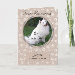 Anúncio Pet Loss Dog or Cat Memorial Announcement