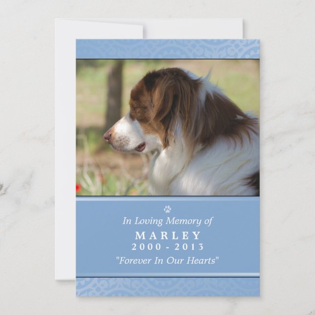Anúncio Pet Memorial Card 5"x7" Leve Blue Pet Orador (Frente)