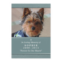 Pet Memorial Card 5x7 Teal Prayer para Pets