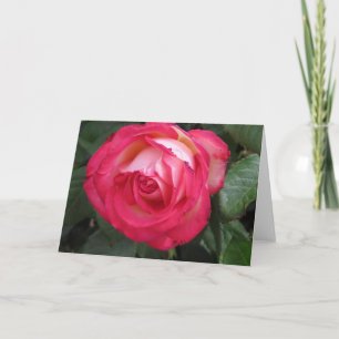 Anúncio Placa de saudação de rosa vermelha