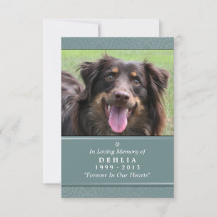 Anúncio Placa Memorial Pet 3.5x5 Teal - Deus Te Viu Poema