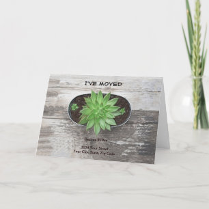 Anúncio Planta Suculente Movi Novo Endereço