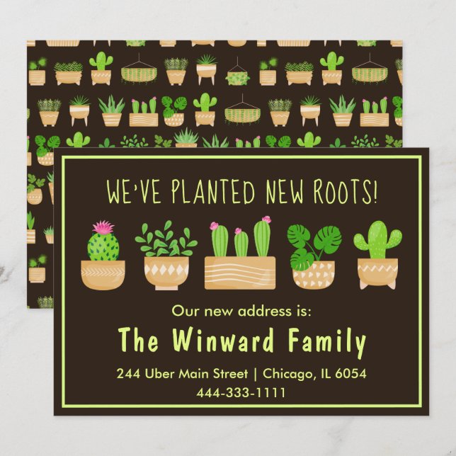 Anúncio Plantas Caseiras Cactus Dark Brown Novo Announeme (Frente/Verso)