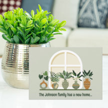 Plantas Modernas na Soleira da Janela em Nova Casa