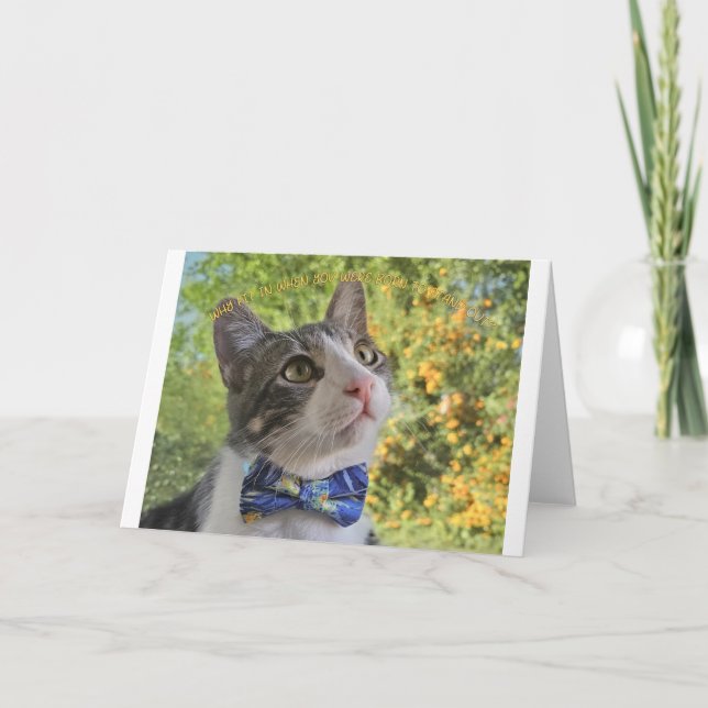 Anúncio Por que ajustado dentro, notório? (Frente)