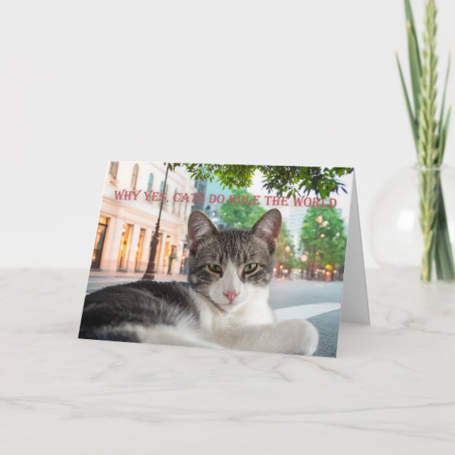 Anúncio Por que sim, os gatos governam o mundo, (Frente)