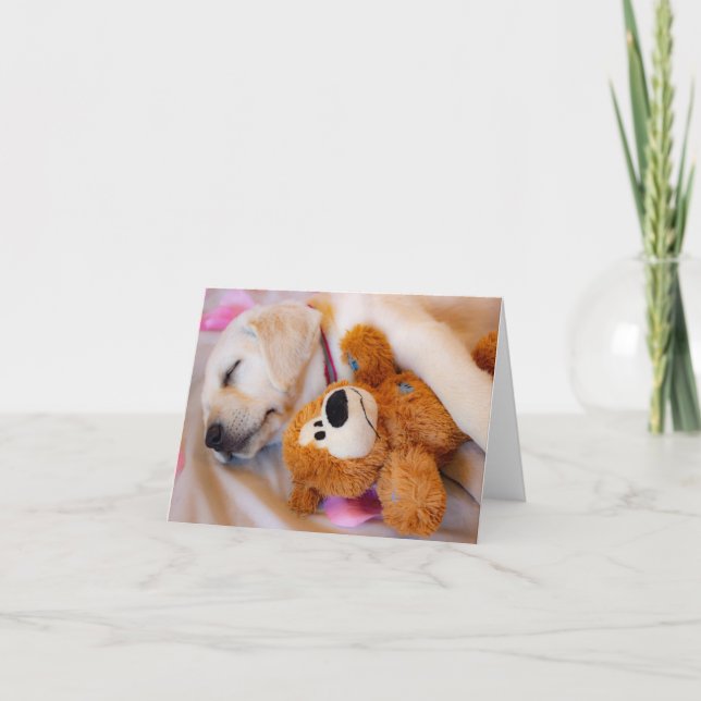Anúncio Puppy Cudddles (Frente)