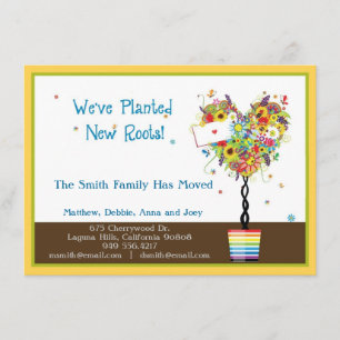 Anúncio Raizes novas