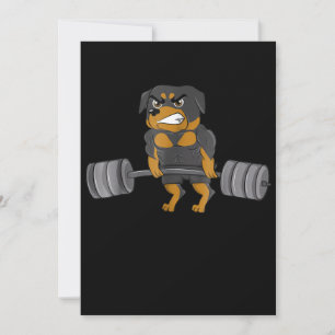 Anúncio Rottweiler - Cão-de-Criança