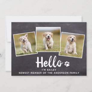 Anúncio Rustic Hello Photo Collage Puppy Dog New Pet