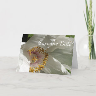 Anúncio Salvar a data