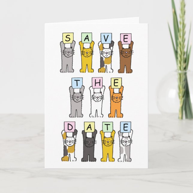 Anúncio Salvar os Gatos de Cuta de Data (Frente)