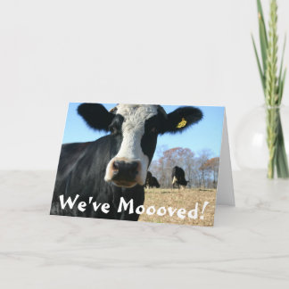 Anúncio Santa Vaca Mover