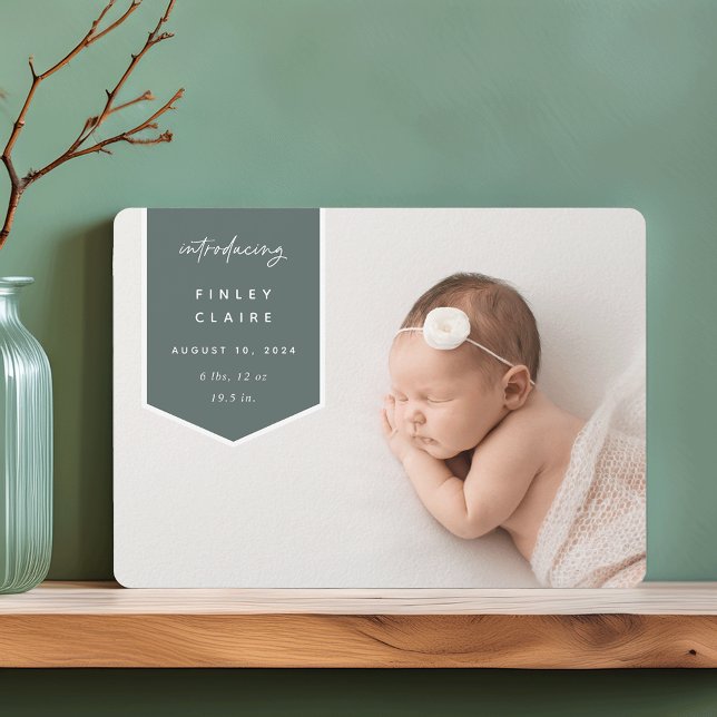 Anúncio Sobreposição de Banner | Foto Horizontal Nasciment (Criador carregado)