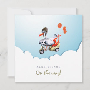 Anúncio Tempestade no Patinete Engraçada Gênero Gravidez N