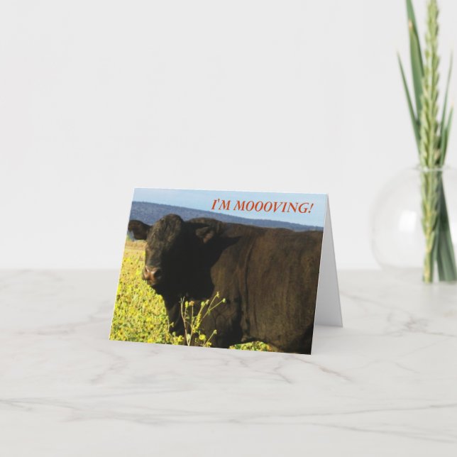 Anúncio Touro Negro em Flores - Mudança Ocidental de Ender (Frente)