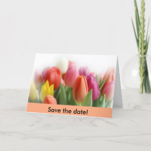 Anúncio tulipas multicolor Salve a data!