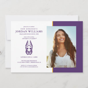 Anúncio Universidade de Albany Great Dane Mascot Head