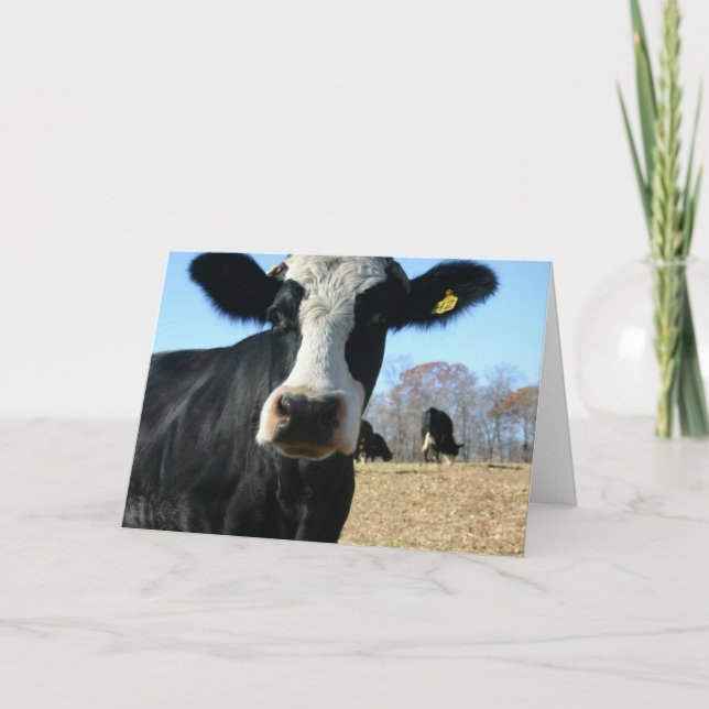 Anúncio Vaca Sagrada Nós Mudamos (Frente)