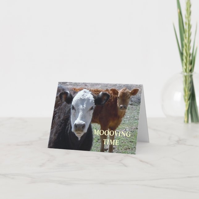 Anúncio Vacas bonitas - Mudança Ocidental de Endereço (Frente)